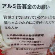 ヒメ日記 2026/05/09 09:36 投稿 あつこ ギン妻パラダイス 堺東店