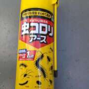ヒメ日記 2026/05/10 09:27 投稿 あつこ ギン妻パラダイス 堺東店