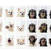 ヒメ日記 2025/11/01 23:04 投稿 はるか ビジョルナ（bijouluna）