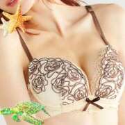 ヒメ日記 2025/04/22 17:35 投稿 明日香【助講師】 京都 泡洗体ハイブリッドエステ PUPPY LOVE 京都駅前本店