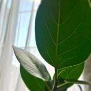 ヒメ日記 2025/02/04 12:19 投稿 浅神ふじの 五反田発 痴漢電車or全裸入室