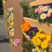 ヒメ日記 2025/03/23 18:33 投稿 浅神ふじの 五反田発 痴漢電車or全裸入室