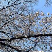 ヒメ日記 2025/03/26 12:07 投稿 浅神ふじの 五反田発 痴漢電車or全裸入室