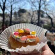 ヒメ日記 2025/04/02 12:34 投稿 浅神ふじの 五反田発 痴漢電車or全裸入室