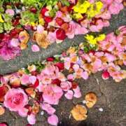 ヒメ日記 2025/04/14 07:48 投稿 浅神ふじの 五反田発 痴漢電車or全裸入室