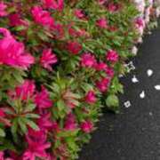 ヒメ日記 2025/04/24 16:14 投稿 浅神ふじの 五反田発 痴漢電車or全裸入室