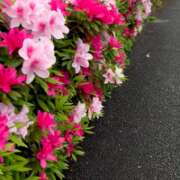 ヒメ日記 2025/04/24 18:05 投稿 浅神ふじの 五反田発 痴漢電車or全裸入室