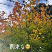 ヒメ日記 2025/11/12 12:55 投稿 浅神ふじの 五反田発 痴漢電車or全裸入室