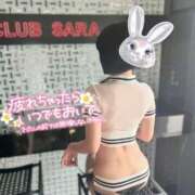 ヒメ日記 2025/11/14 10:08 投稿 浅神ふじの 五反田発 痴漢電車or全裸入室