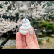 浅神ふじの 今年の◯◯の数⛩️ 五反田発 痴漢電車or全裸入室