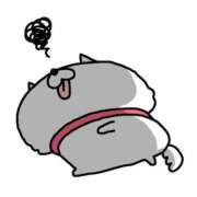 月島 ゆうか 昨日は… 神戸RED DRAGON