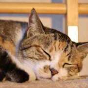 ヒメ日記 2025/12/26 19:11 投稿 ゆい 婀娜（あだ）めく人妻LILITH(リリス) 本庄