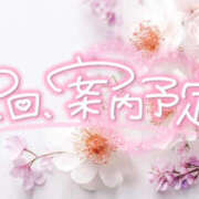 ヒメ日記 2025/08/19 17:10 投稿 あい 神田ハンドメイド