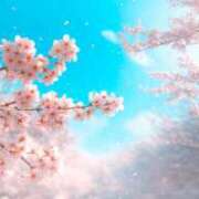 ヒメ日記 2026/04/06 22:15 投稿 あい 神田ハンドメイド