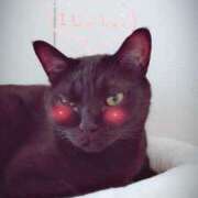 ヒメ日記 2025/04/04 12:45 投稿 さや AVANCE福岡