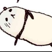 ヒメ日記 2025/04/09 15:18 投稿 さや AVANCE福岡