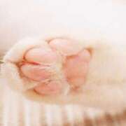 ヒメ日記 2025/09/17 09:30 投稿 しおり アバンチュール（難波）