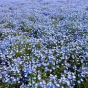 ヒメ日記 2025/09/22 09:15 投稿 しおり アバンチュール（難波）