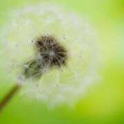 ヒメ日記 2025/10/17 10:05 投稿 しおり アバンチュール（難波）