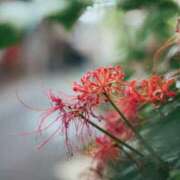 ヒメ日記 2025/11/01 19:47 投稿 しおり アバンチュール（難波）