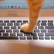 ヒメ日記 2025/11/25 11:25 投稿 しおり アバンチュール（難波）