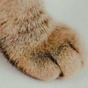 ヒメ日記 2025/11/28 11:23 投稿 しおり アバンチュール（難波）