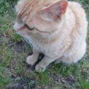 ヒメ日記 2025/11/03 13:00 投稿 まや コスプレ痴漢電車