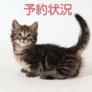 ヒメ日記 2025/08/14 23:27 投稿 けい 川崎・東横人妻城