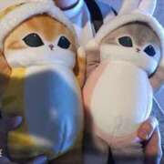 ヒメ日記 2025/08/27 22:56 投稿 けい 川崎・東横人妻城