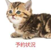 ヒメ日記 2025/10/17 19:32 投稿 けい 川崎・東横人妻城