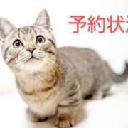 ヒメ日記 2025/10/21 20:55 投稿 けい 川崎・東横人妻城