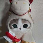 ヒメ日記 2026/01/07 02:39 投稿 けい 川崎・東横人妻城