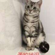 ヒメ日記 2026/01/17 15:55 投稿 けい 川崎・東横人妻城