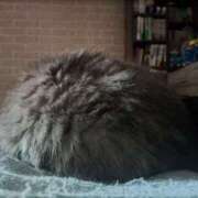 ヒメ日記 2026/03/19 08:19 投稿 けい 川崎・東横人妻城