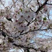 ヒメ日記 2026/04/03 19:24 投稿 けい 川崎・東横人妻城