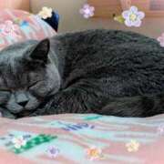 ヒメ日記 2025/01/29 19:13 投稿 吹石　里香 プレジデントクラブ