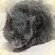 ヒメ日記 2025/05/23 17:33 投稿 吹石　里香 プレジデントクラブ