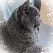 ヒメ日記 2025/08/15 20:50 投稿 吹石　里香 プレジデントクラブ