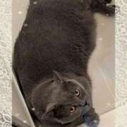 ヒメ日記 2025/09/11 19:18 投稿 吹石　里香 プレジデントクラブ