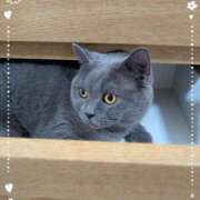 ヒメ日記 2025/09/22 08:56 投稿 吹石　里香 プレジデントクラブ