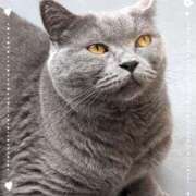 ヒメ日記 2025/09/29 09:52 投稿 吹石　里香 プレジデントクラブ