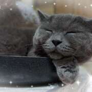 ヒメ日記 2025/10/22 12:03 投稿 吹石　里香 プレジデントクラブ