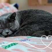 ヒメ日記 2025/10/26 19:07 投稿 吹石　里香 プレジデントクラブ