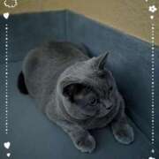 ヒメ日記 2025/11/15 18:50 投稿 吹石　里香 プレジデントクラブ