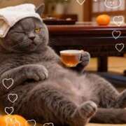 ヒメ日記 2025/11/24 16:55 投稿 吹石　里香 プレジデントクラブ