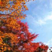 ヒメ日記 2025/11/28 09:03 投稿 吹石　里香 プレジデントクラブ