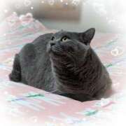 吹石　里香 寒い朝🧣 プレジデントクラブ