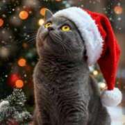 ヒメ日記 2025/12/25 17:08 投稿 吹石　里香 プレジデントクラブ