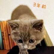 吹石　里香 3周年🩷 プレジデントクラブ