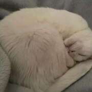 ヒメ日記 2025/04/09 09:58 投稿 Rumi LovingTouch（ラビングタッチ）